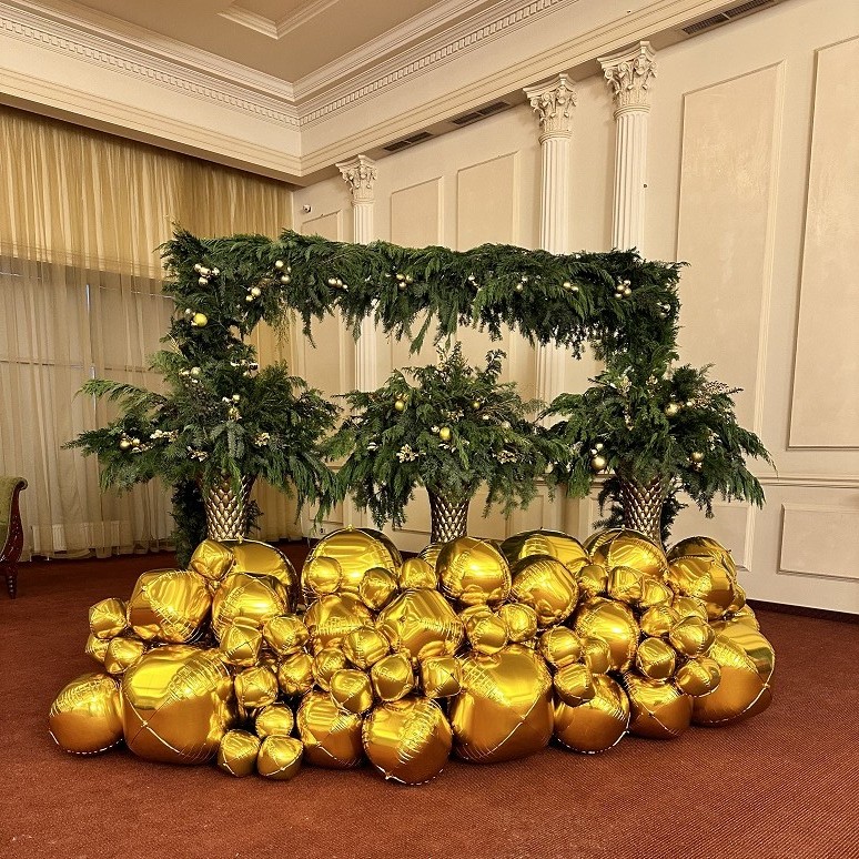 Фото зона из Сфер(3 на 1 м)