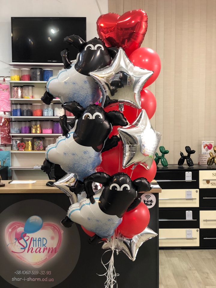 Барашек Шон 