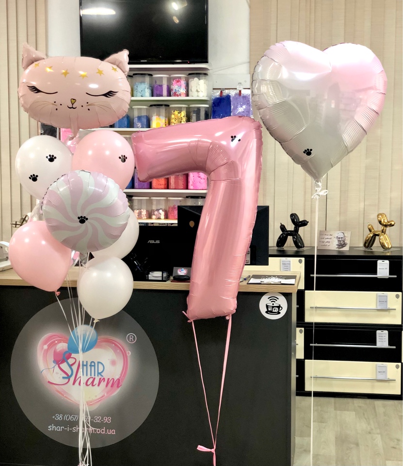 Набор шариков котик 