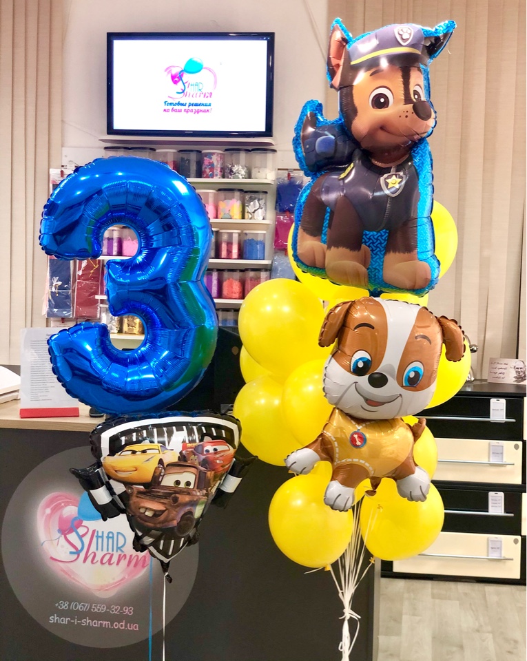 12.Щенячий патруль и машинки Маквин