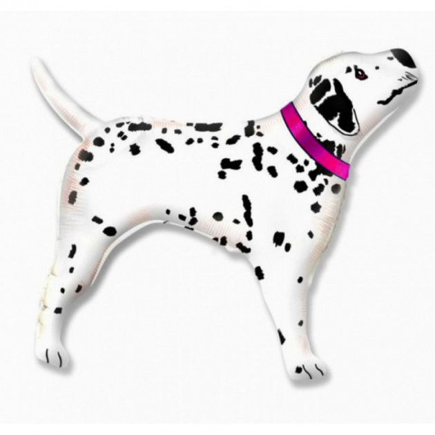 Далматинец розовый ошейник