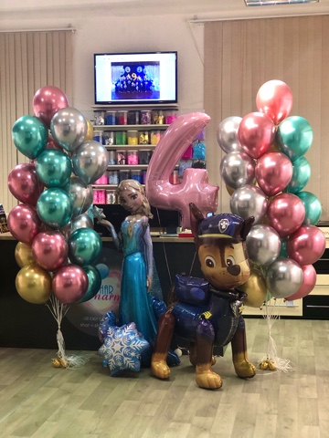 12.Набор для любителей Эльзы и Щенячего патруля