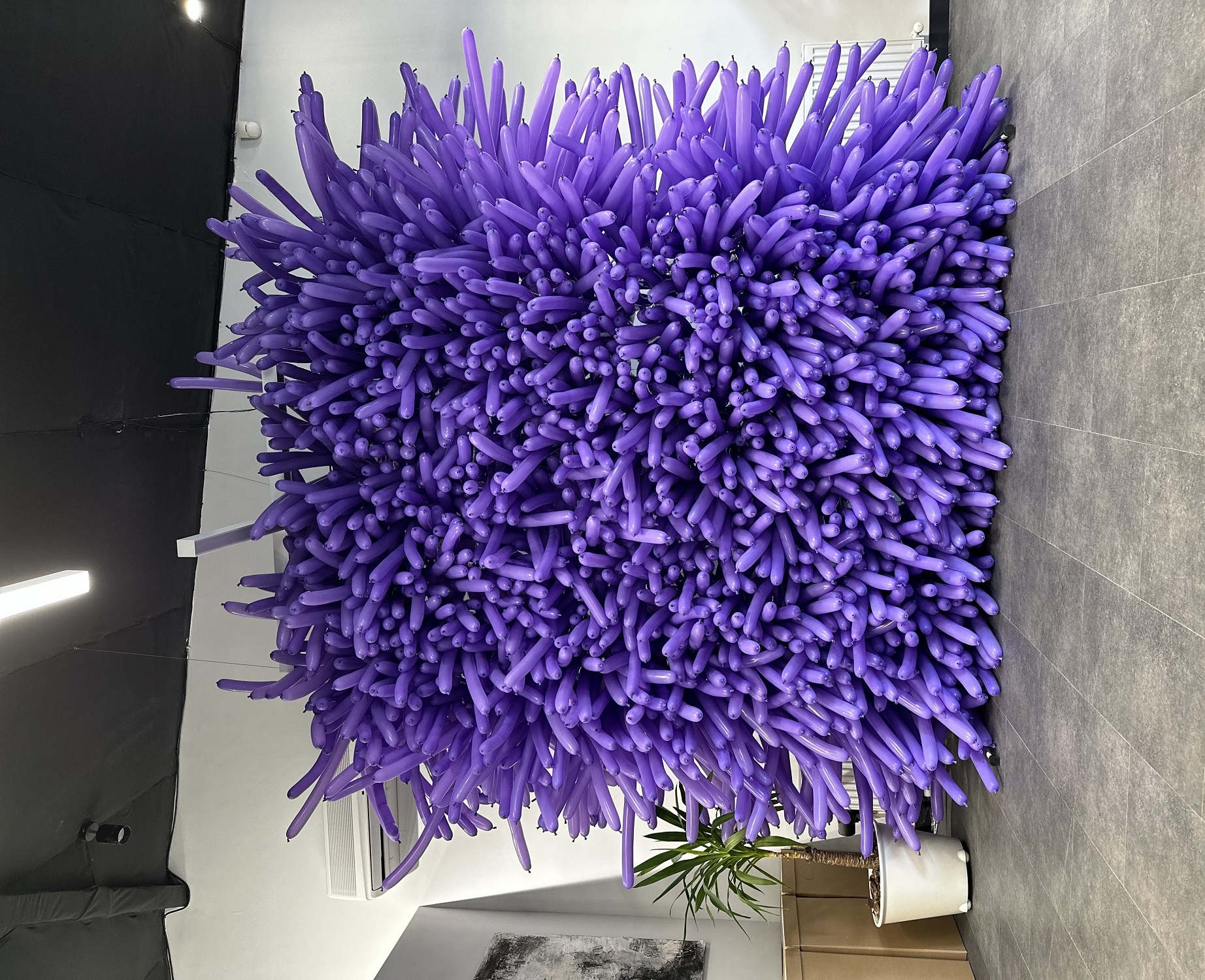 Фото зона из шаров шдм (2,5*2метра)