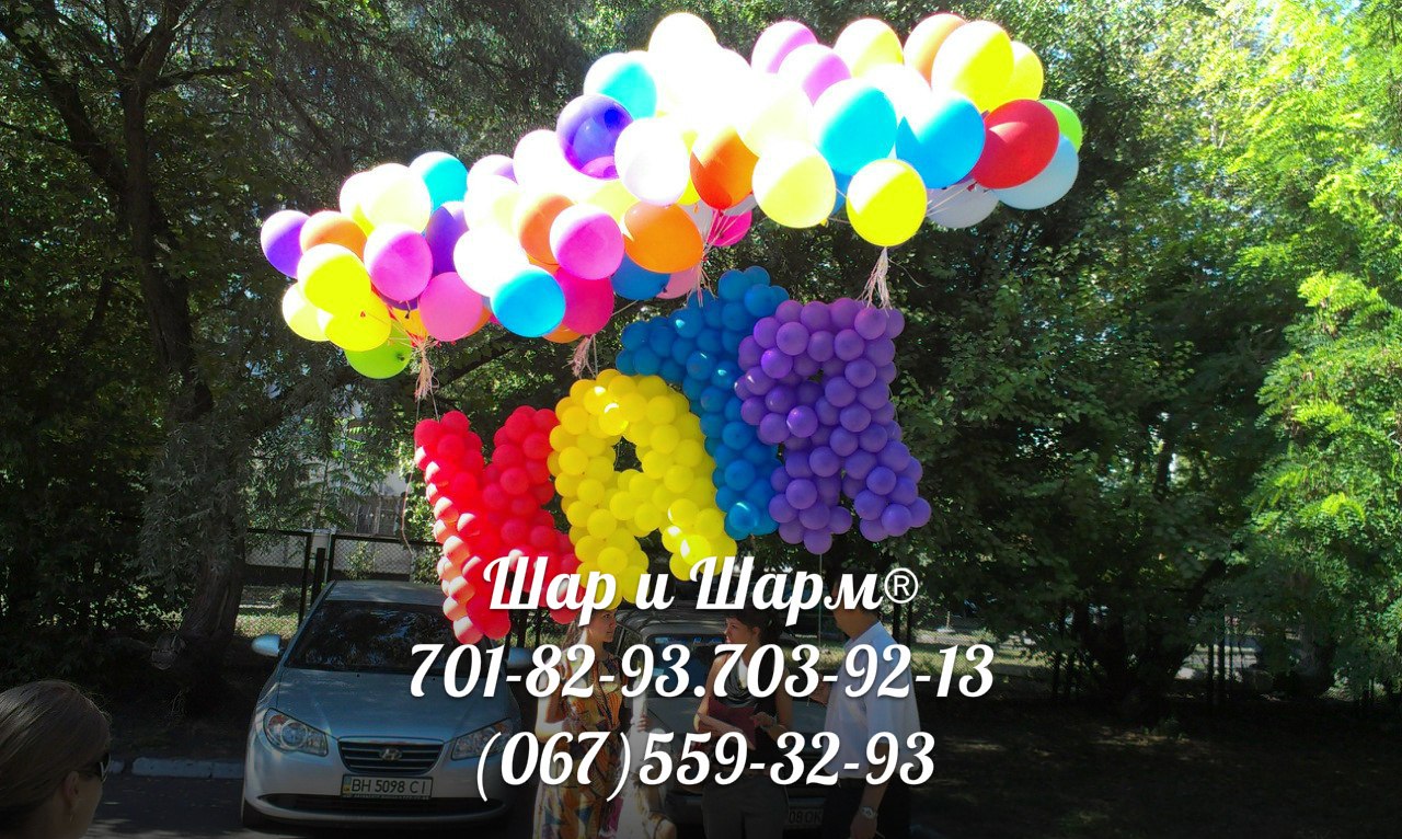 Шарики в Роддом.Встречаем девочку)вариант №20