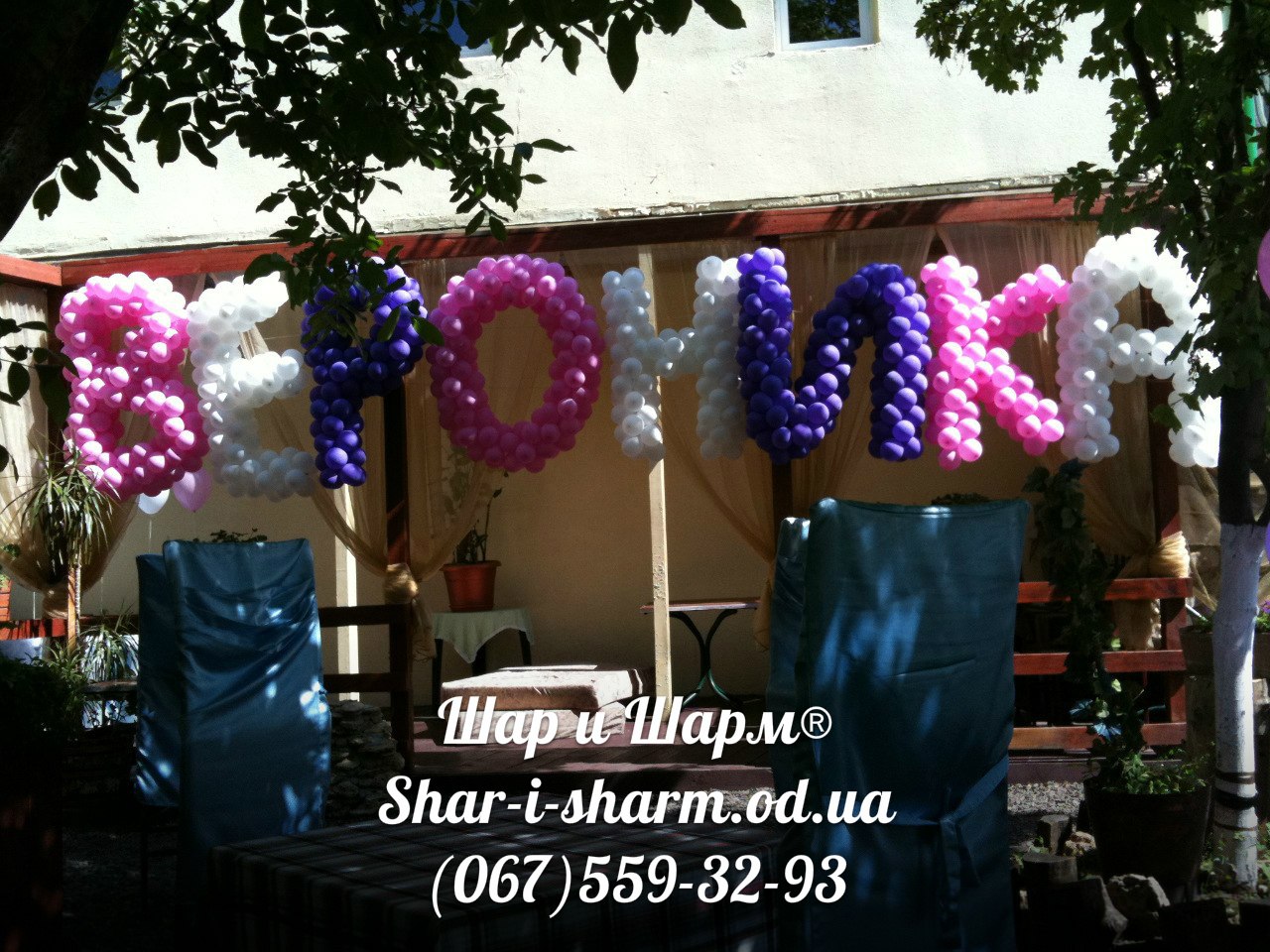 Оформление дня рождения №137